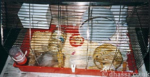 Muffy's hamster cage